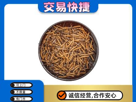 牡丹区回收散虫草